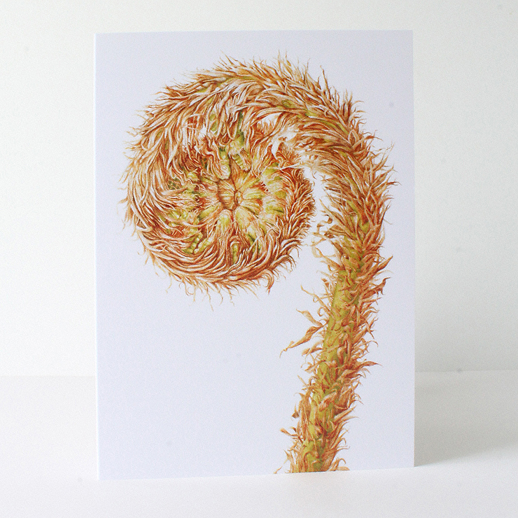 A6 greetings card - reproduced from a botanical watercolour painting, Dryopteris affinis, Golden male scaly fern