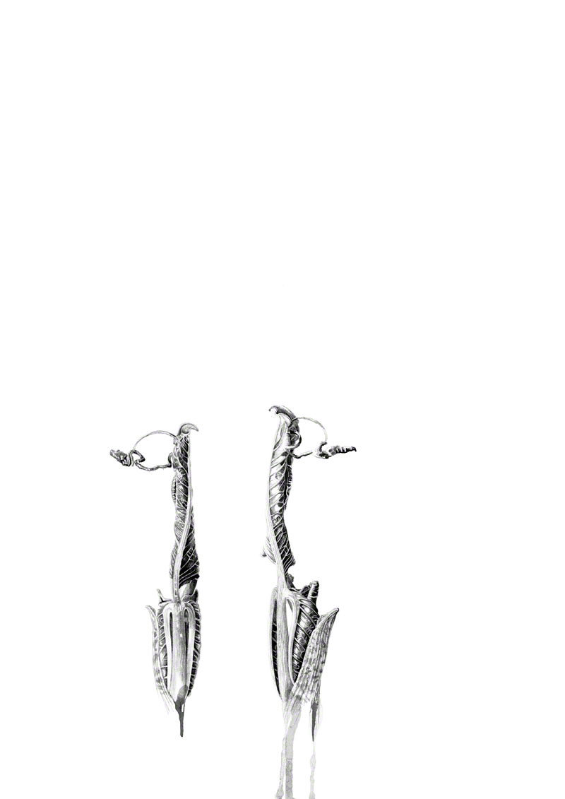 ink shoots - Arisaema intermedium - ink