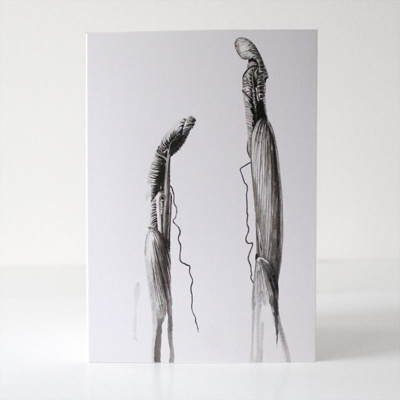 greetings card - Ink shoots - Arisaema costatum