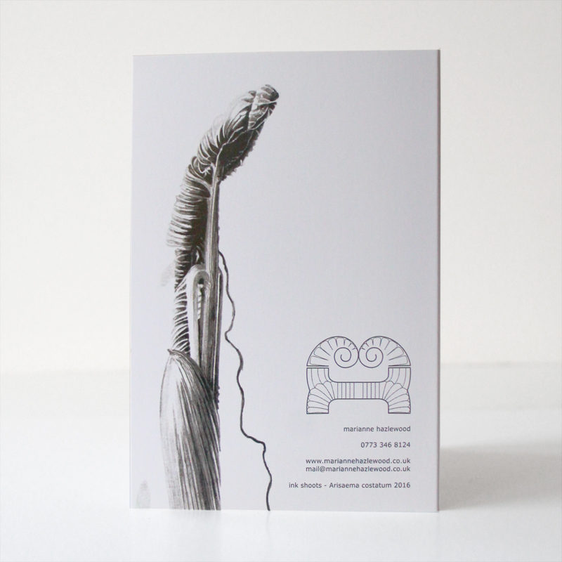 greetings card - Ink shoots - Arisaema costatum - Image 2