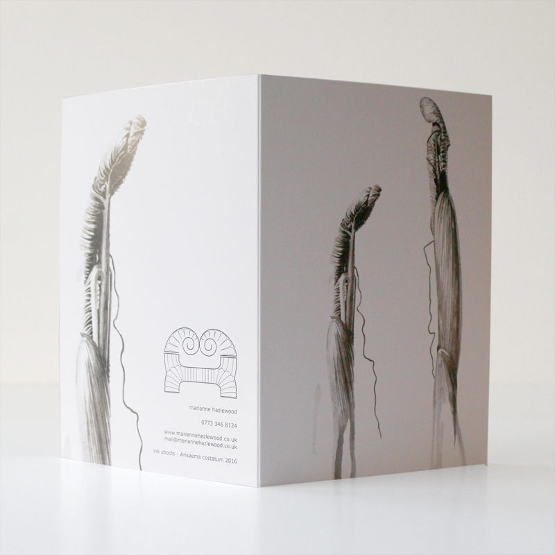 greetings card - Ink shoots - Arisaema costatum - Image 3