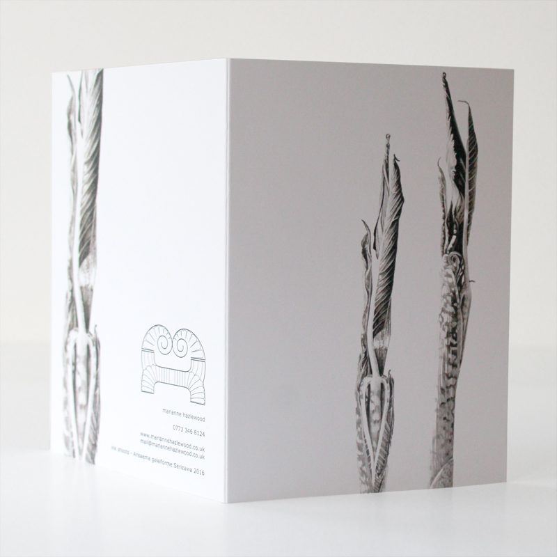 greetings card - Ink shoots - Arisaema galeiforme Serizawa - Image 2