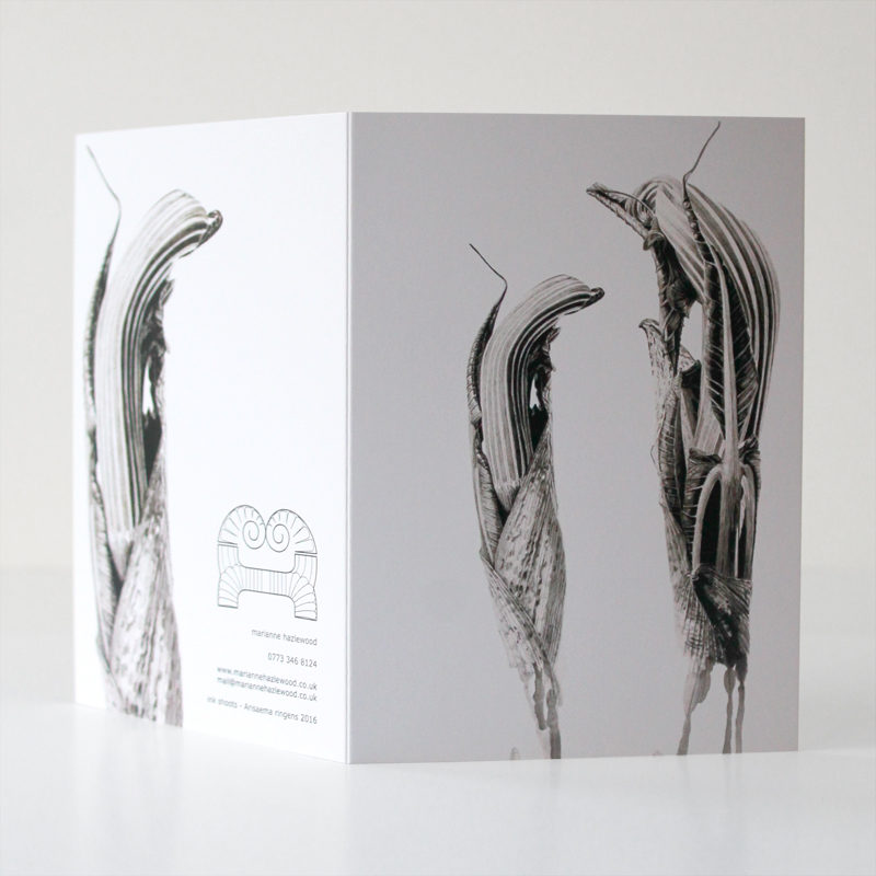 greetings card - Ink shoots - Arisaema ringens - Image 2