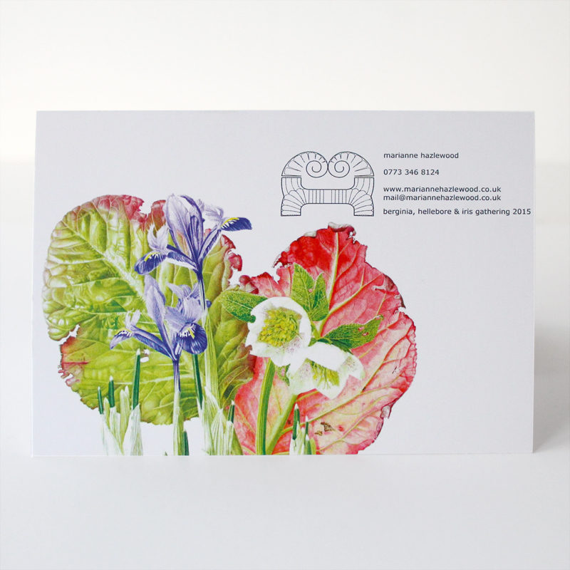 greetings card - Bergenia, Hellebore & Iris gathering - crop - Image 2