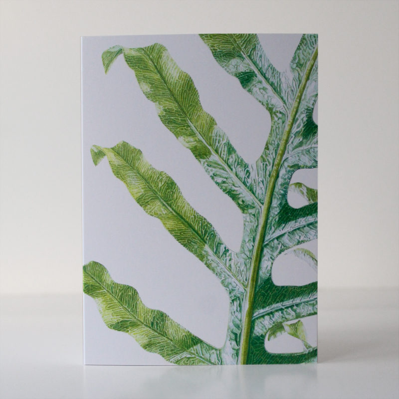 A6 greetings card - reproduced from a botanical watercolour painting, Phlebodium aureum, Golden Polypody