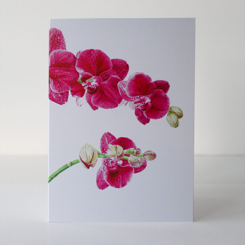 A6 greetings card - reproduced from a botanical watercolour painting, Phalaenopsis moth orchid