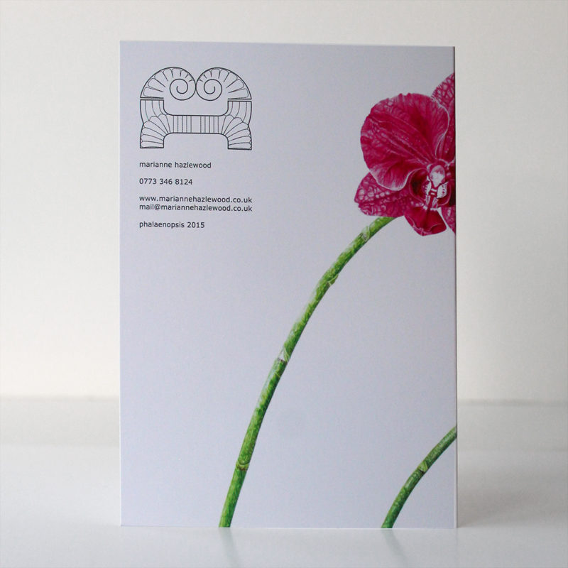 A6 greetings card - reproduced from a botanical watercolour painting, Phalaenopsis moth orchid