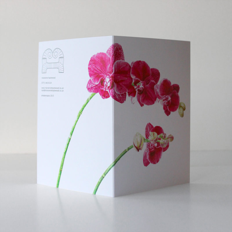 A6 greetings card - reproduced from a botanical watercolour painting, Phalaenopsis moth orchid