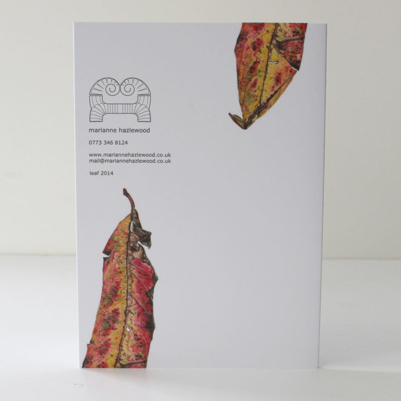 A6 greetings card - reproduced from a botanical watercolour painting, Unidentified leaf