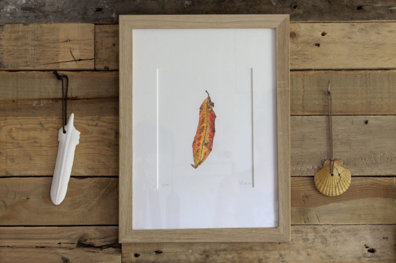 Leaf print - framed in oak