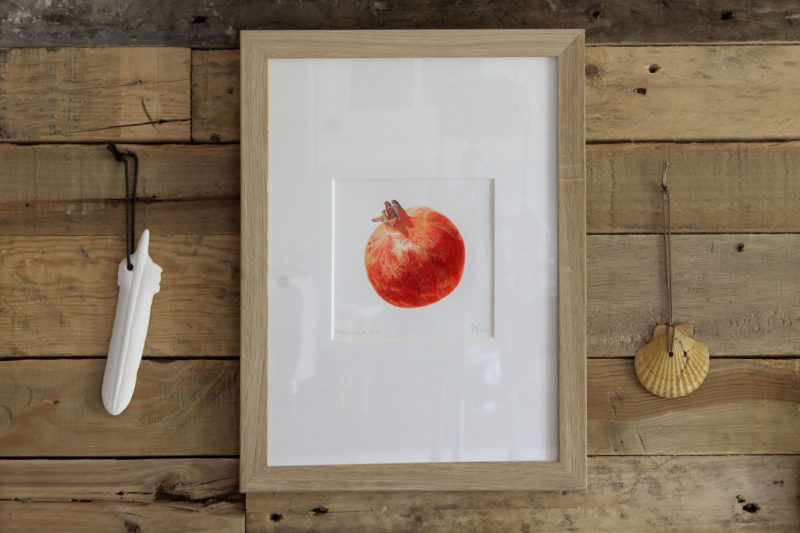 Pomegranate print - framed in oak