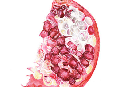 Pomegranate slice print