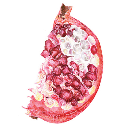 Pomegranate slice print