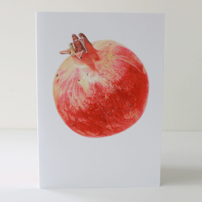 A6 greetings card - reproduced from a botanical watercolour painting, Pomegranate