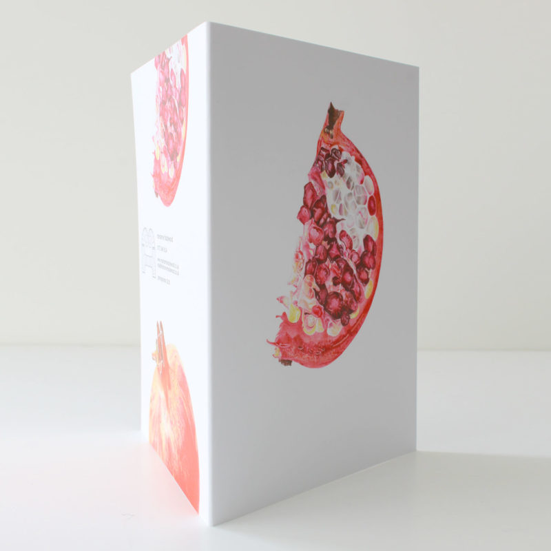 A6 greetings card - reproduced from a botanical watercolour painting, Pomegranate sliceslice card
