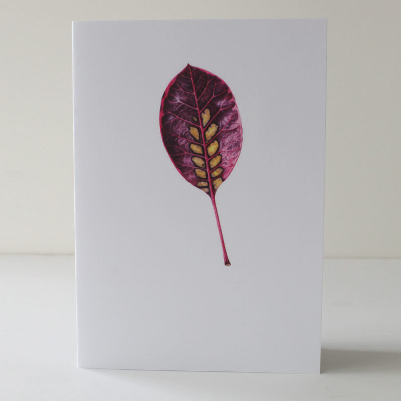 A6 greetings card - reproduced from a botanical watercolour painting, Smoke leaf