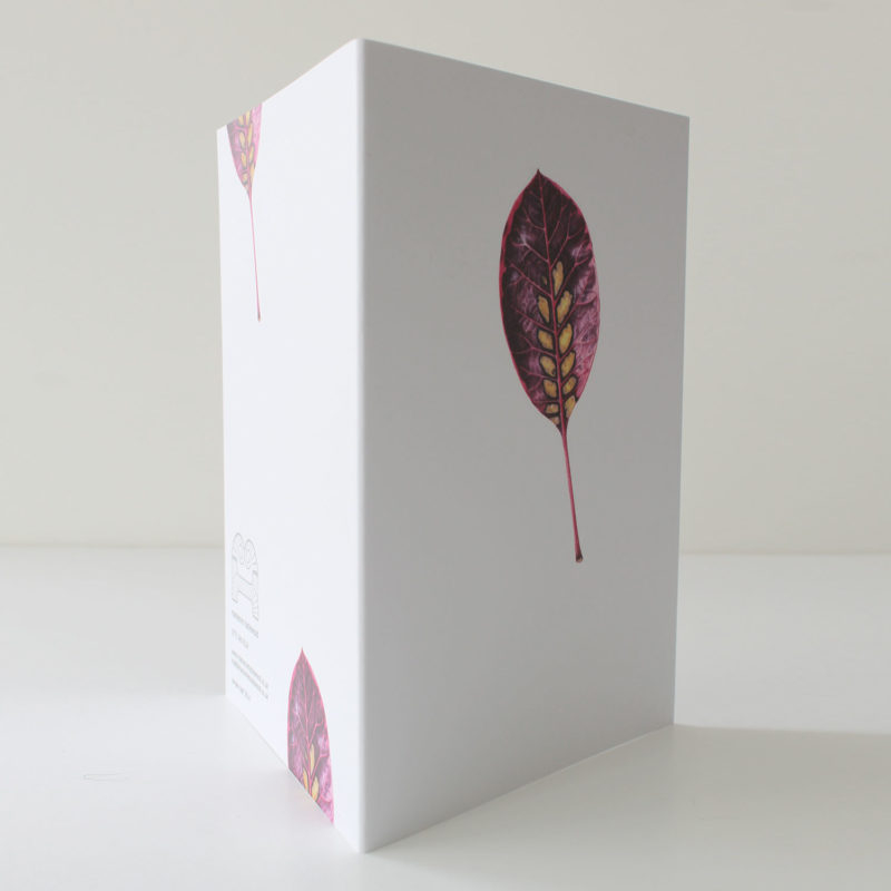 A6 greetings card - reproduced from a botanical watercolour painting, Smoke leaf