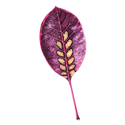 smoke-leaf-crop Smoke leaf print