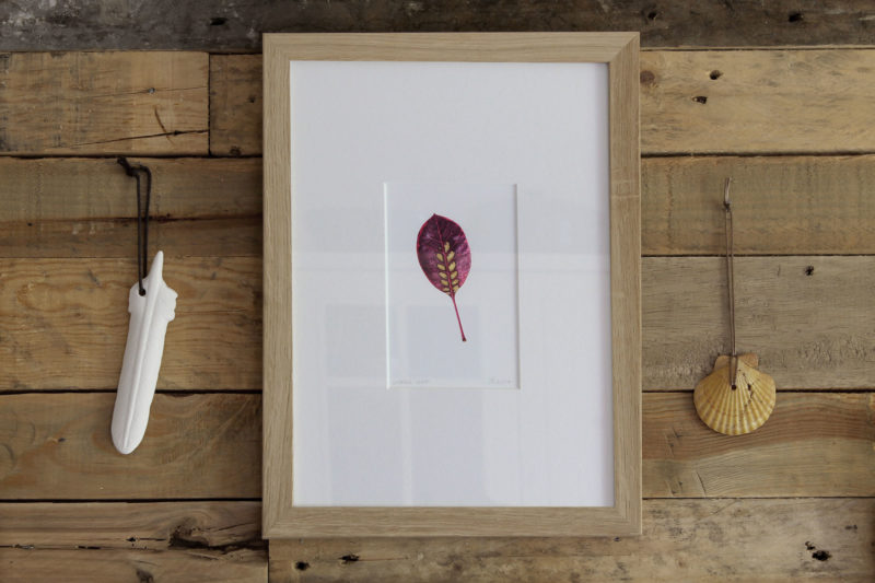 Smoke leaf print - framed in oak