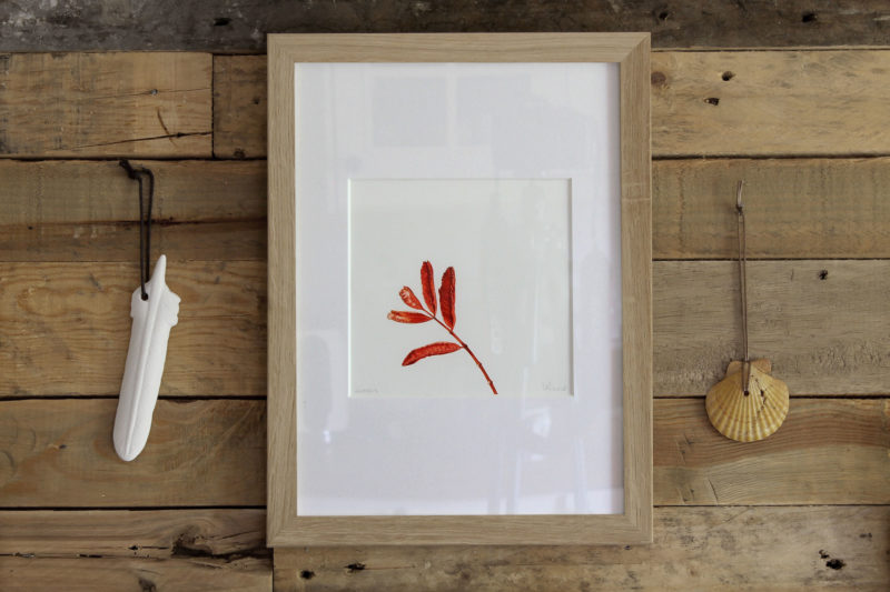 Sorbus print - framed in oak