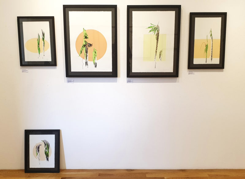 Screen prints series - framed