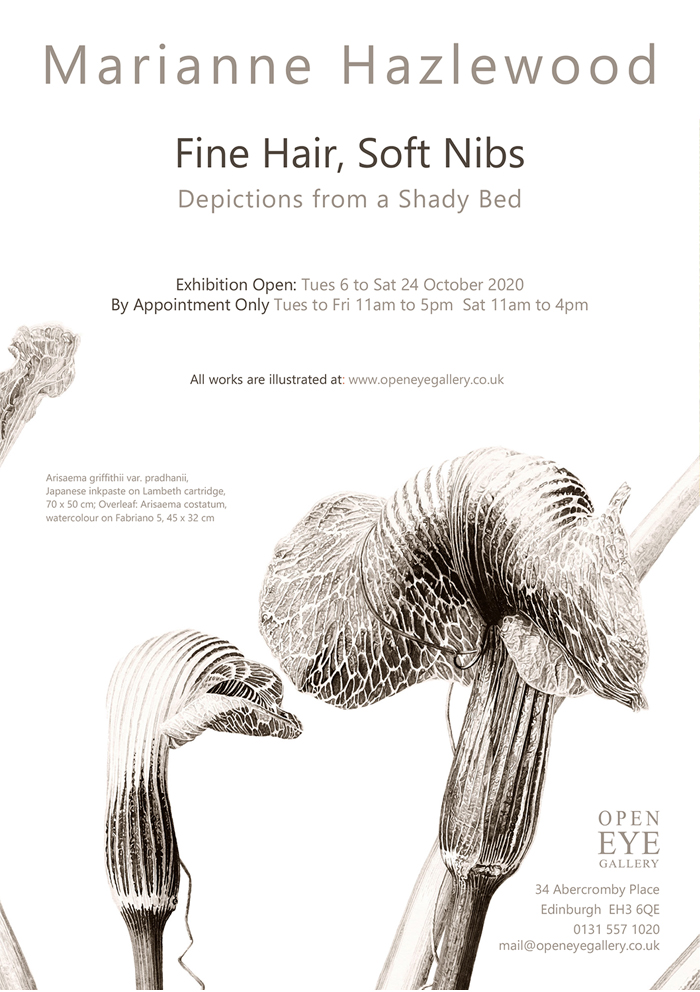 Marianne Hazlewood Open Eye Gallery Invite front - Arisaema griffithii var pradhanii