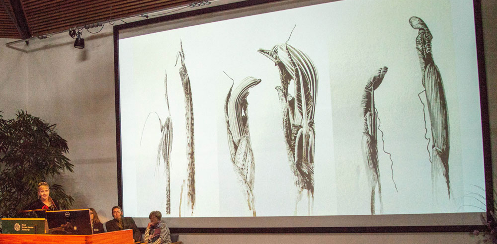 Marianne Hazlewood giving a talk at graduation from the RBGE, her Ariseama inkshoot series are projected on the screen