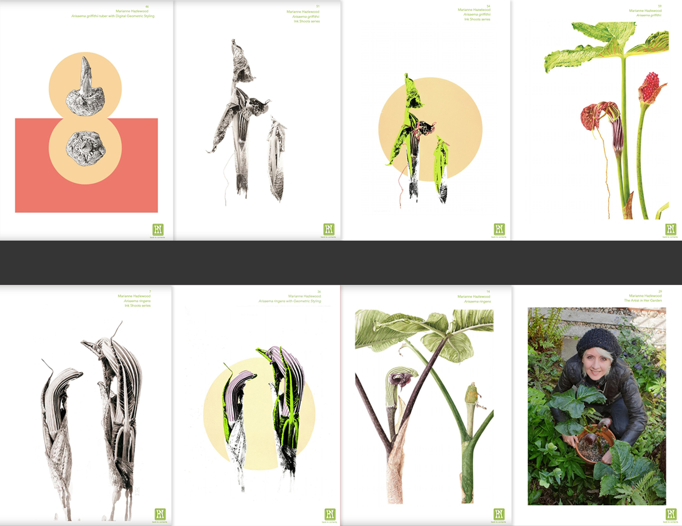 herbology news-pages Herbology News - The Energy Issue - art inserts by Marianne Hazlewood
