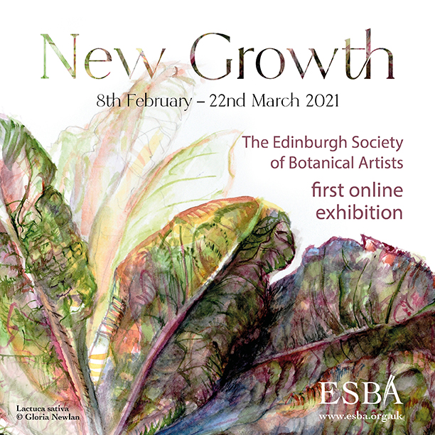 New Growth - ESBA's 9th annual exhibition and first online exhibition