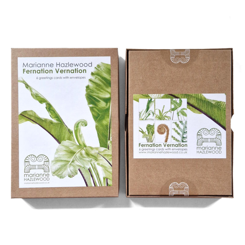 Box set, 6 x A6 fern greetings cards