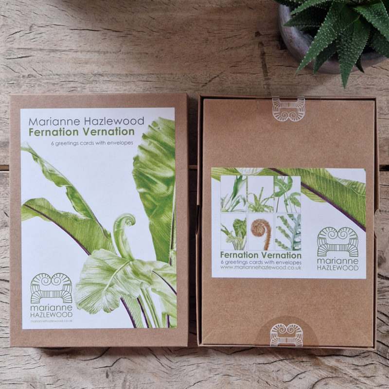 Box set, 6 x A6 fern greetings cards