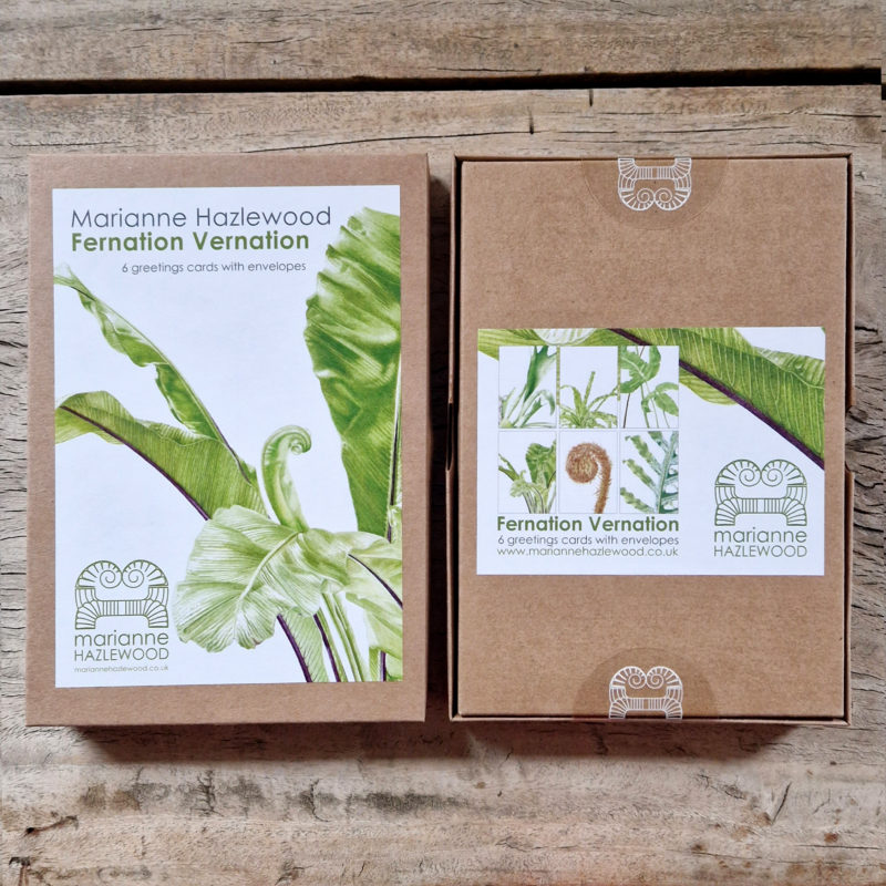 Box set, 6 x A6 fern greetings cards