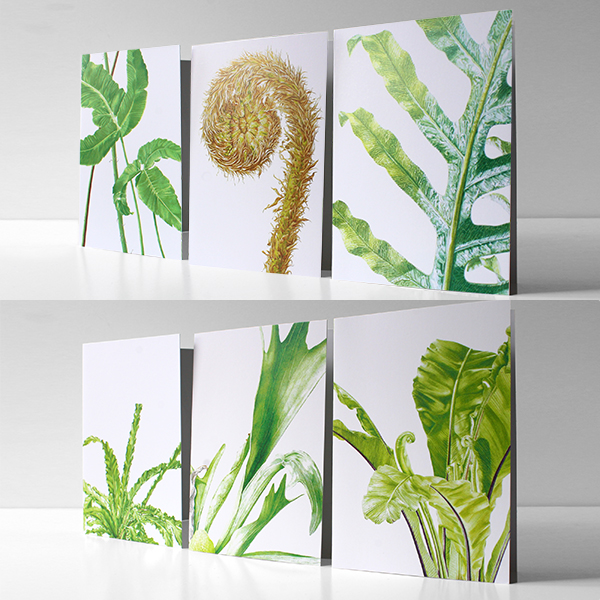 Shop Small Love Indie Online Market - Pack of six fern greetings cards