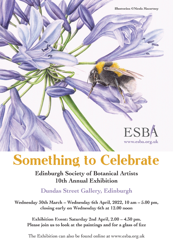 Something to Celebrate, Edinburgh Society of Botanical Artists 10th Annual Exhibition, Dundas Street Gallery & Online