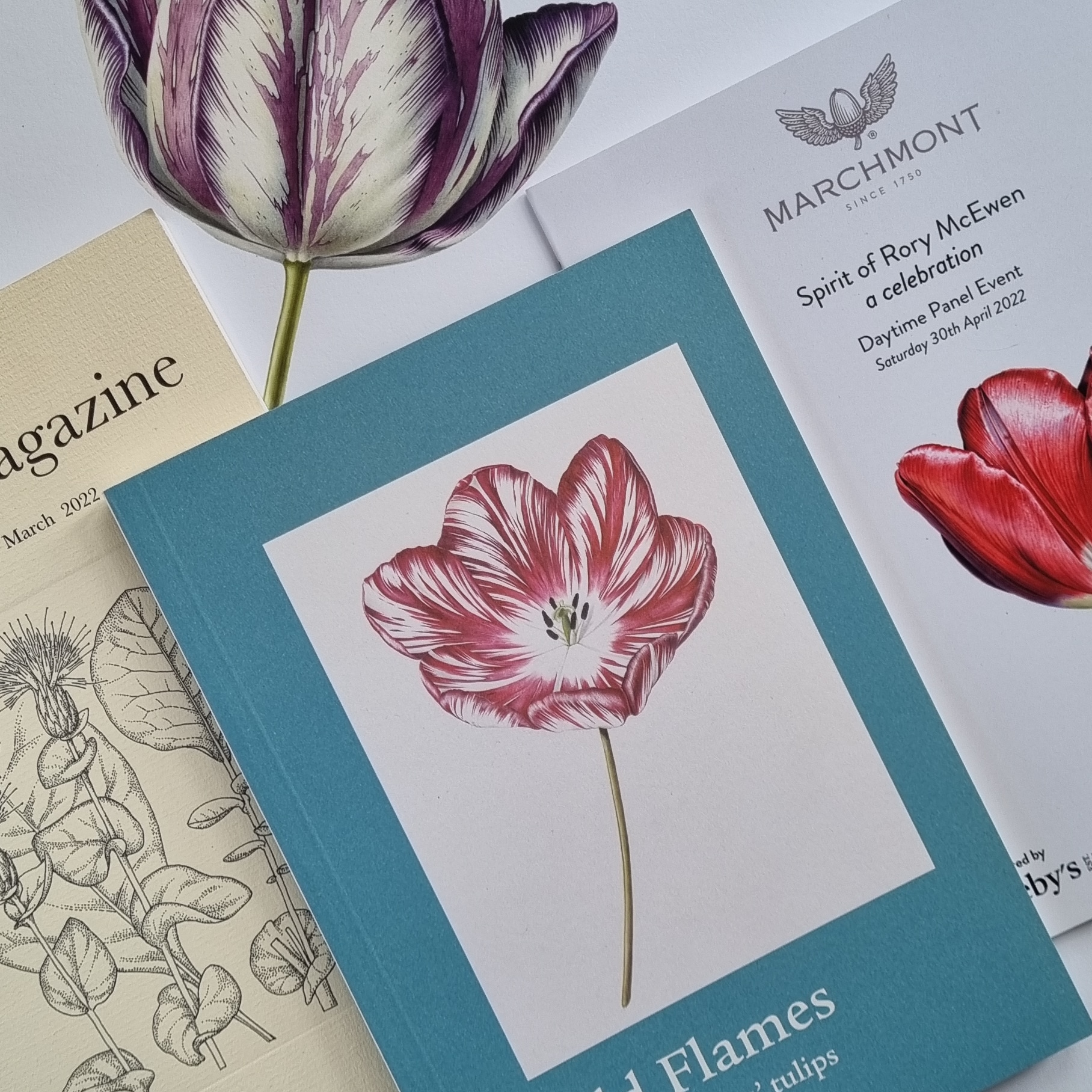 Spirit of Rory McEwen programme for the weekend, Old Flames, English Florists Tulips by the Wakefield & North of England Tulip Society, Curtis Botanical Magazine, March 2022, Tulip giclee print from the Estate of Rory McEwen