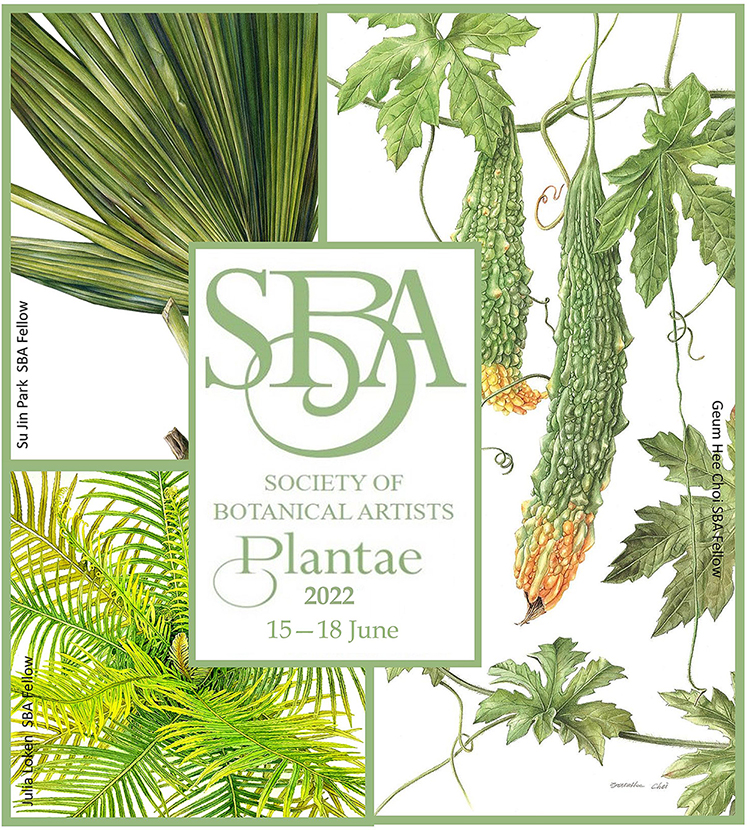 SBA PLANTAE 22 Exhibition at the Mall Galleries London 15 - 18 June