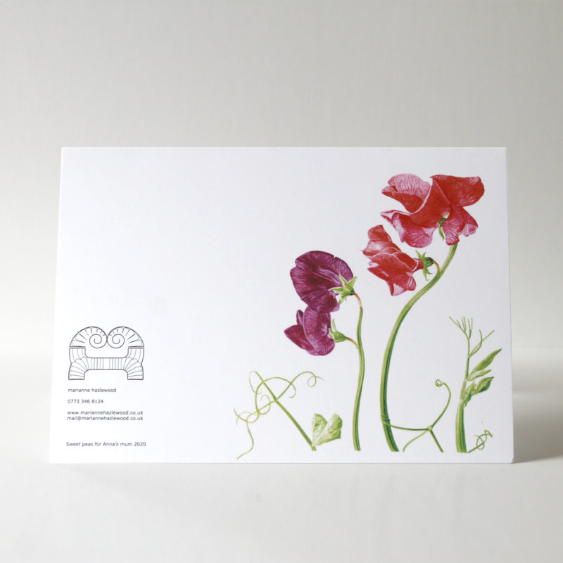 A5 greetings card - reproduced from a botanical watercolour painting, Sweet peas for Anna's mum
