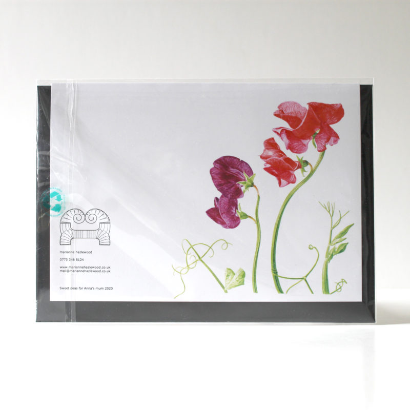 A5 greetings card - reproduced from a botanical watercolour painting, Sweet peas for Anna's mum