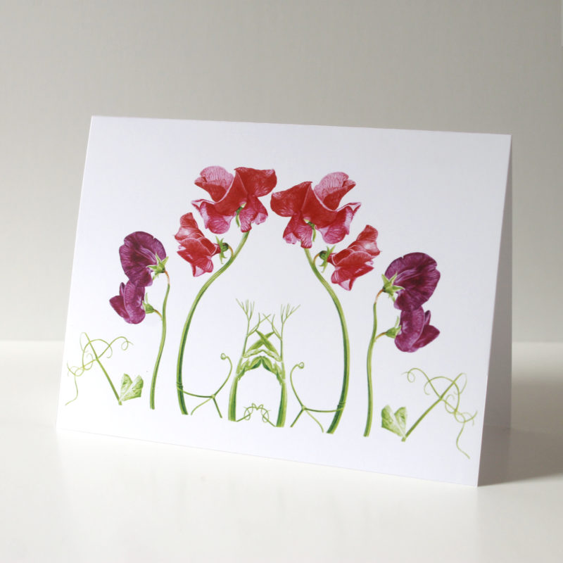 A5 greetings card - reproduced from a botanical watercolour painting, Sweet peas for Anna's mum