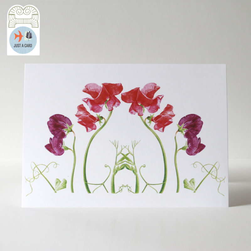 A5 greetings card - reproduced from a botanical watercolour painting, Sweet peas for Anna's mum - just a card