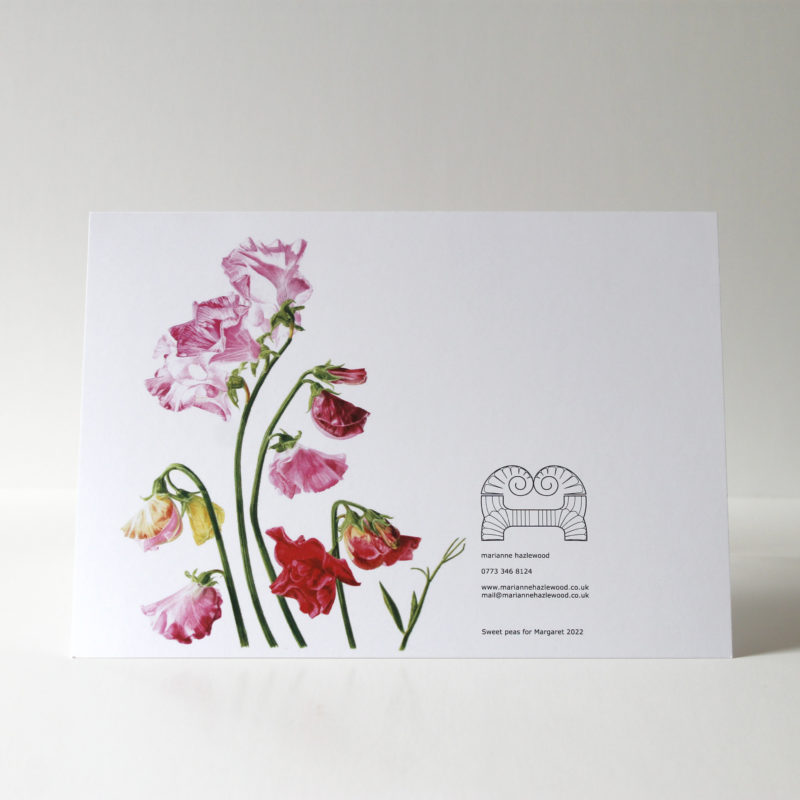 A5 greetings card - reproduced from a botanical watercolour painting, Sweet Peas for Margaret