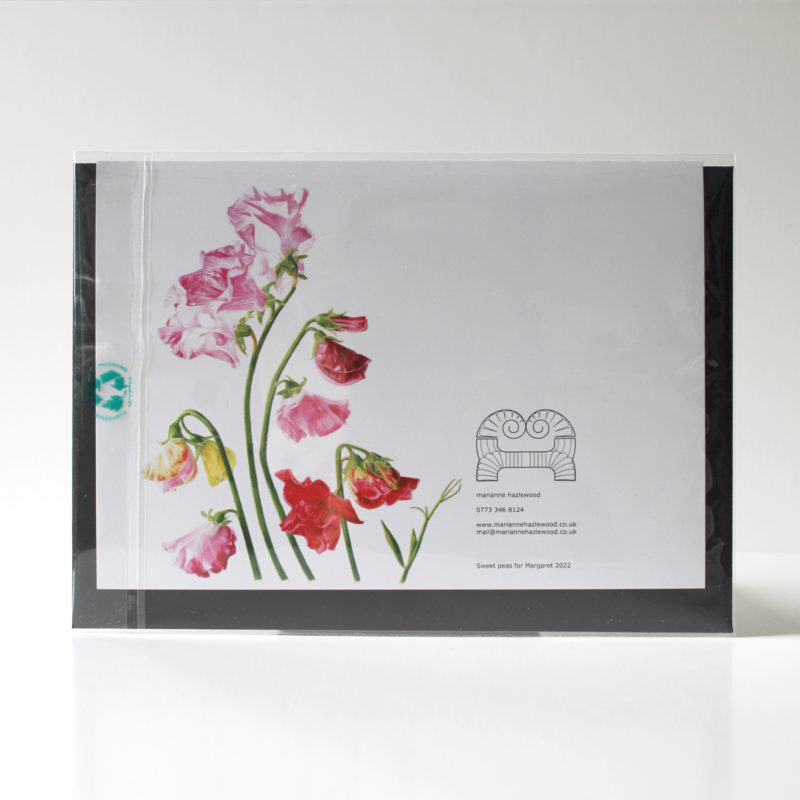 A5 greetings card - reproduced from a botanical watercolour painting, Sweet Peas for Margaret