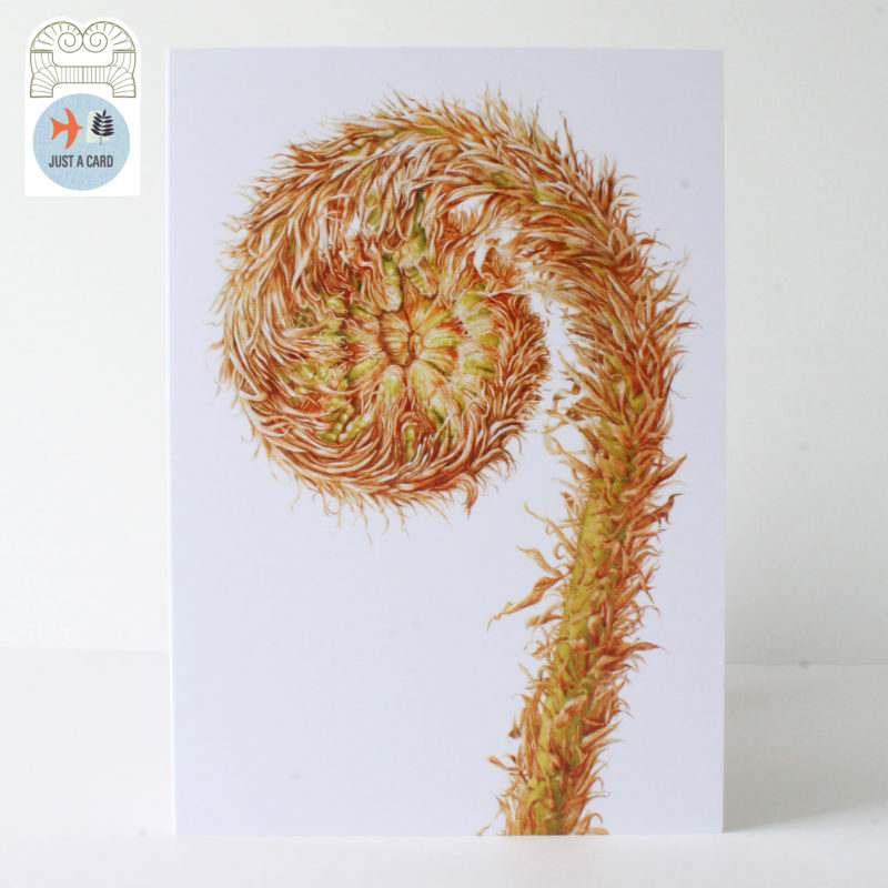 A6 greetings card - reproduced from a botanical watercolour painting, Dryopteris affinis, Golden male scaly fern - Just a card
