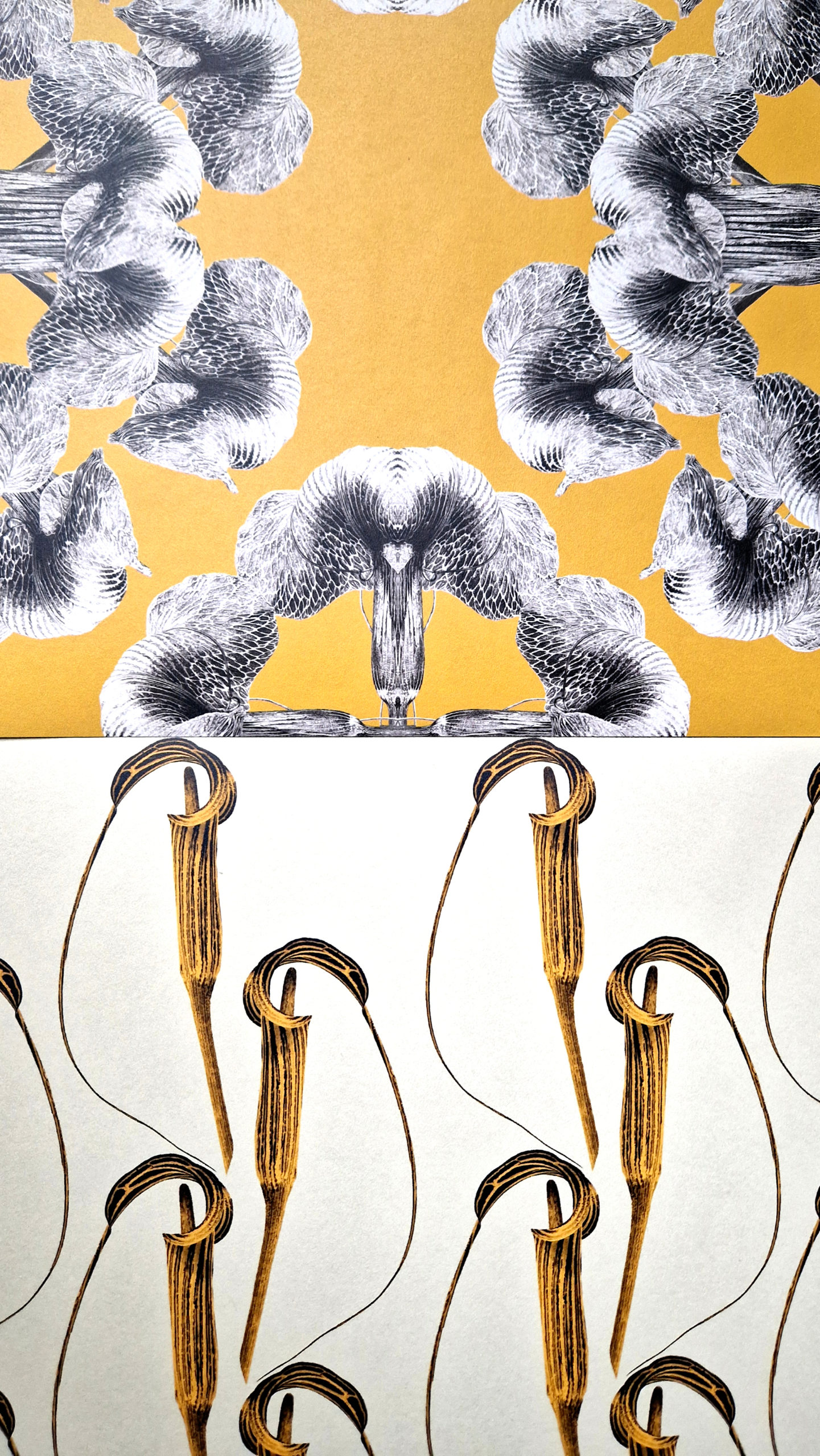 Wallpaper designs featuring illustrations by Marianne Hazlewood