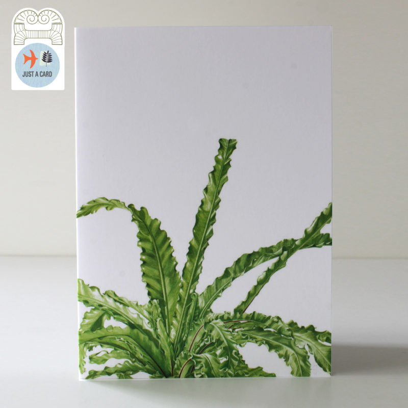 A6 greetings card - reproduced from a botanical watercolour painting, Asplenium antiqum Victoria - Just a card