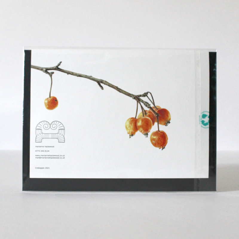 A5 greetings card - reproduced from a botanical watercolour painting, Crab apple of Dalry