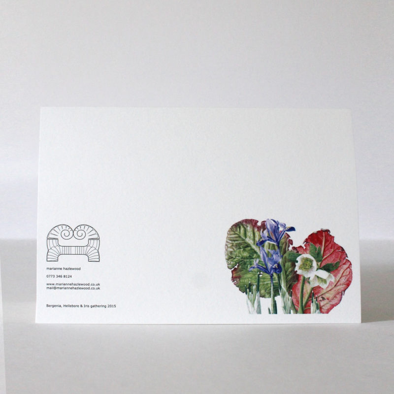 A5 greetings card - reproduced from a botanical watercolour painting, Berginia, Hellebore and Iris