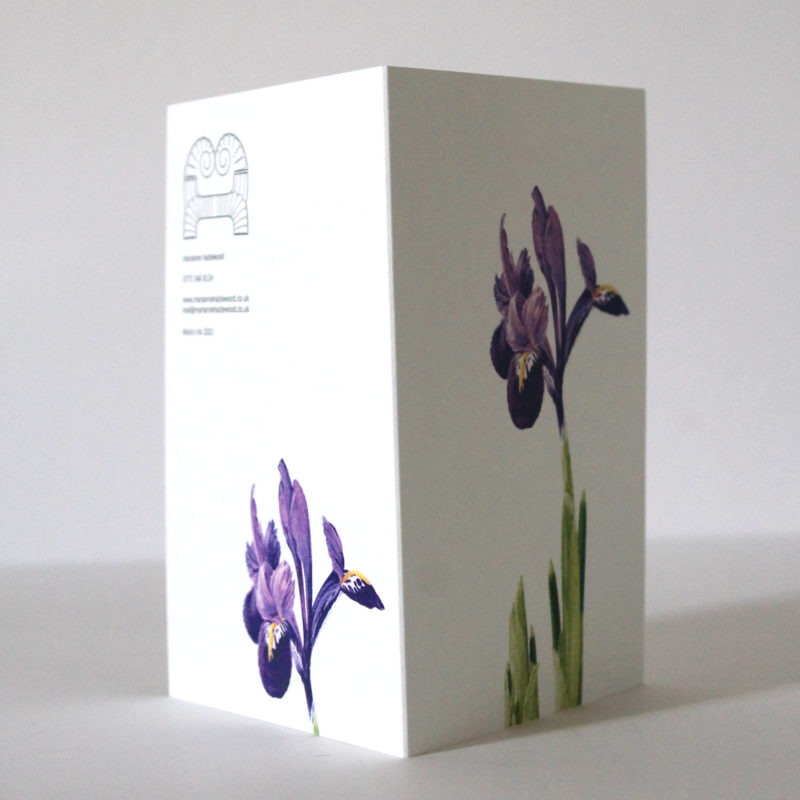 A6 greetings card - reproduced from a botanical watercolour painting, Alice's Iris
