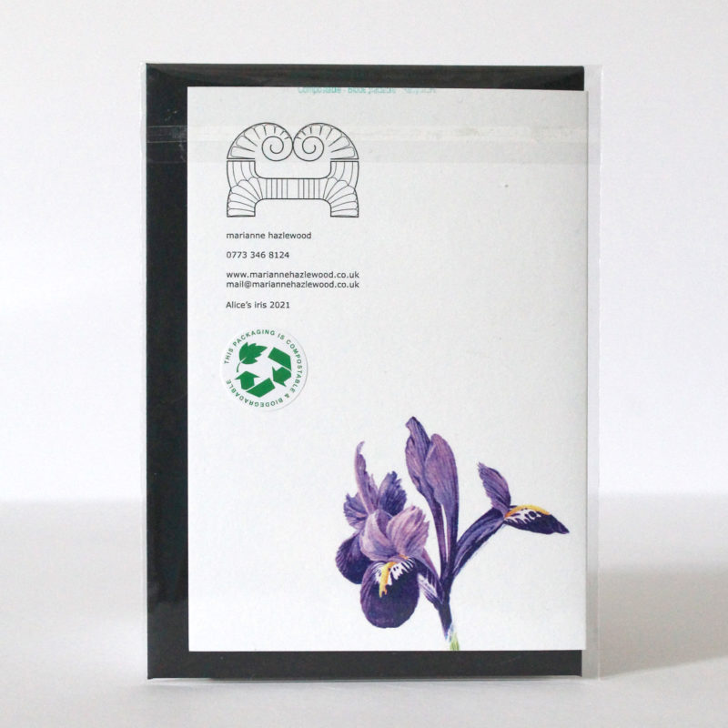 A6 greetings card - reproduced from a botanical watercolour painting, Alice's Iris