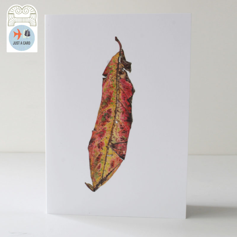 A6 greetings card - reproduced from a botanical watercolour painting, Unidentified leaf - Just a card